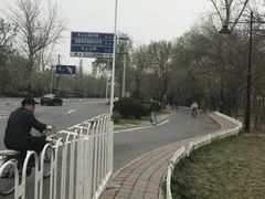 -天津图书馆(复康路馆)