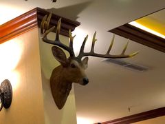 -摩根扒房(桐梓林店)