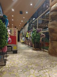 -卡通尼·Safari非洲探索乐园·生日会(金桥国际商业广场店)