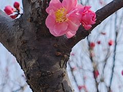 -西安世博园