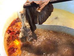 -青瓷火锅料理(西单大悦城店)