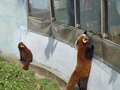 -无锡动物园·太湖欢乐园