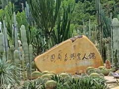 -深圳仙湖植物园
