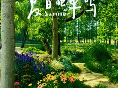 -上海共青森林公园