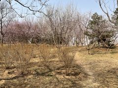 -张家湾公园