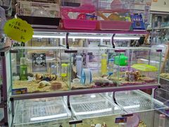 -宝鸡东道花鸟鱼虫市场(吉利花园商场店)
