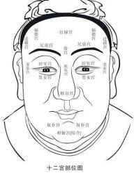-西施无菌半永久纹绣眉眼影唇轻增发纹发际线