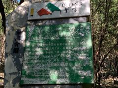 -阳台山自然风景区