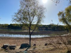 -北京麋鹿生态实验中心