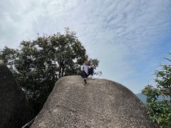 -阳台山森林公园