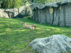 -北京野生动物园