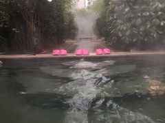 -宁波杭州湾海底温泉