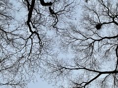 -颐和园