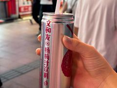 -董顺桃老长沙臭豆腐(步行街店)