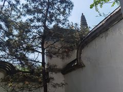-沈阳植物园