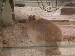 -龙猫仔乐园(惠福东路店)