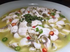 招牌青椒鱼-青花椒花椒鱼(合生汇店)