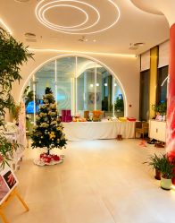 -紫琪尔·匠心连锁·胸部护理养护