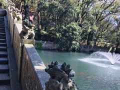 -普陀山风景区-佛顶山