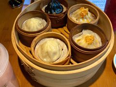 餐饮设施-上海迪士尼度假区