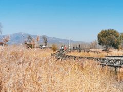 -野鸭湖国家湿地公园