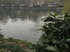 -星巴克(西湖天地店)
