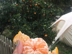 -前小桔亲子创意农场·草莓采摘·露营烧烤