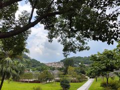 -大屏嶂森林公园