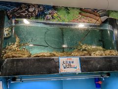 -广州科尔海悦酒店