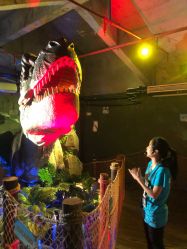 -恐龙探索乐园(磁器口店)