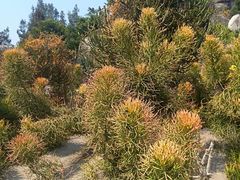 -厦门泰谷酒店(中山路镇海路地铁站店)