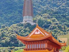 -深圳仙湖植物园