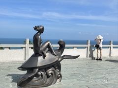 -广东惠东海龟国家级自然保护区