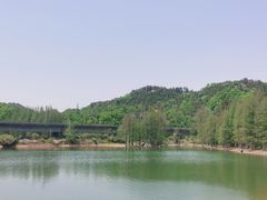 -青龙山国家森林公园