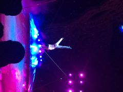 长隆大马戏-珠海横琴长隆《卡卡虎奇遇记》