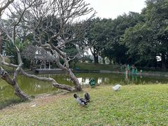 -广州雕塑公园