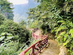 -鹿院坪生态旅游景区