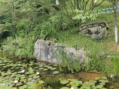 -铁山坪森林公园