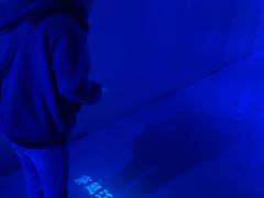 -白鹤梁水下博物馆