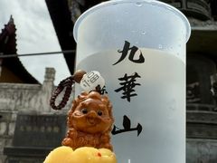 -九华山风景区
