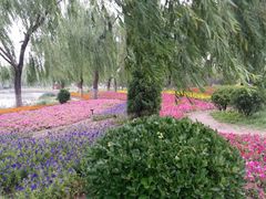 -廊坊文化艺术中心