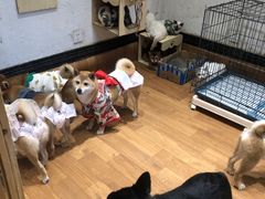 -猫色咖啡·猫咖