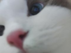 -美迦爱-牙专科·兔科·骨科诊疗中心(北苑店)