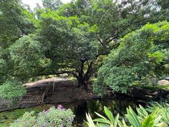 -晓港公园