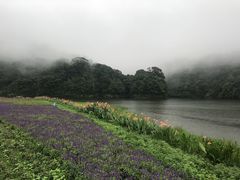 -广州市石门国家森林公园