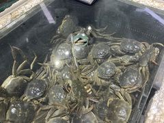 -四道口水产市场