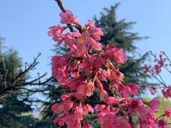 -白塘生态植物园