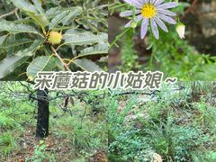 -大连金石滩国家旅游度假区