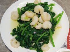 豆苗虾仁-鼎泰丰(国贸商城店)