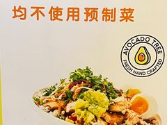 -油梨树AVOCADO TREE(嘉里中心店)